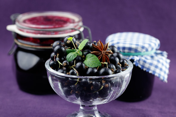 Blackcurrant-Pastis-Jam-2